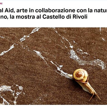 La Casa Di Silvio Ai Giardini Reali Apartman Torino Kültér fotó