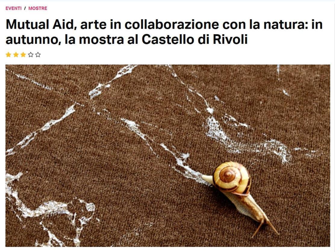 La Casa Di Silvio Ai Giardini Reali Apartman Torino Kültér fotó